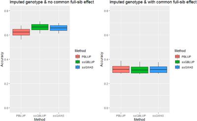 Effects of common full-sib families on accuracy of genomic prediction for tagging weight in striped catfish Pangasianodon hypophthalmus